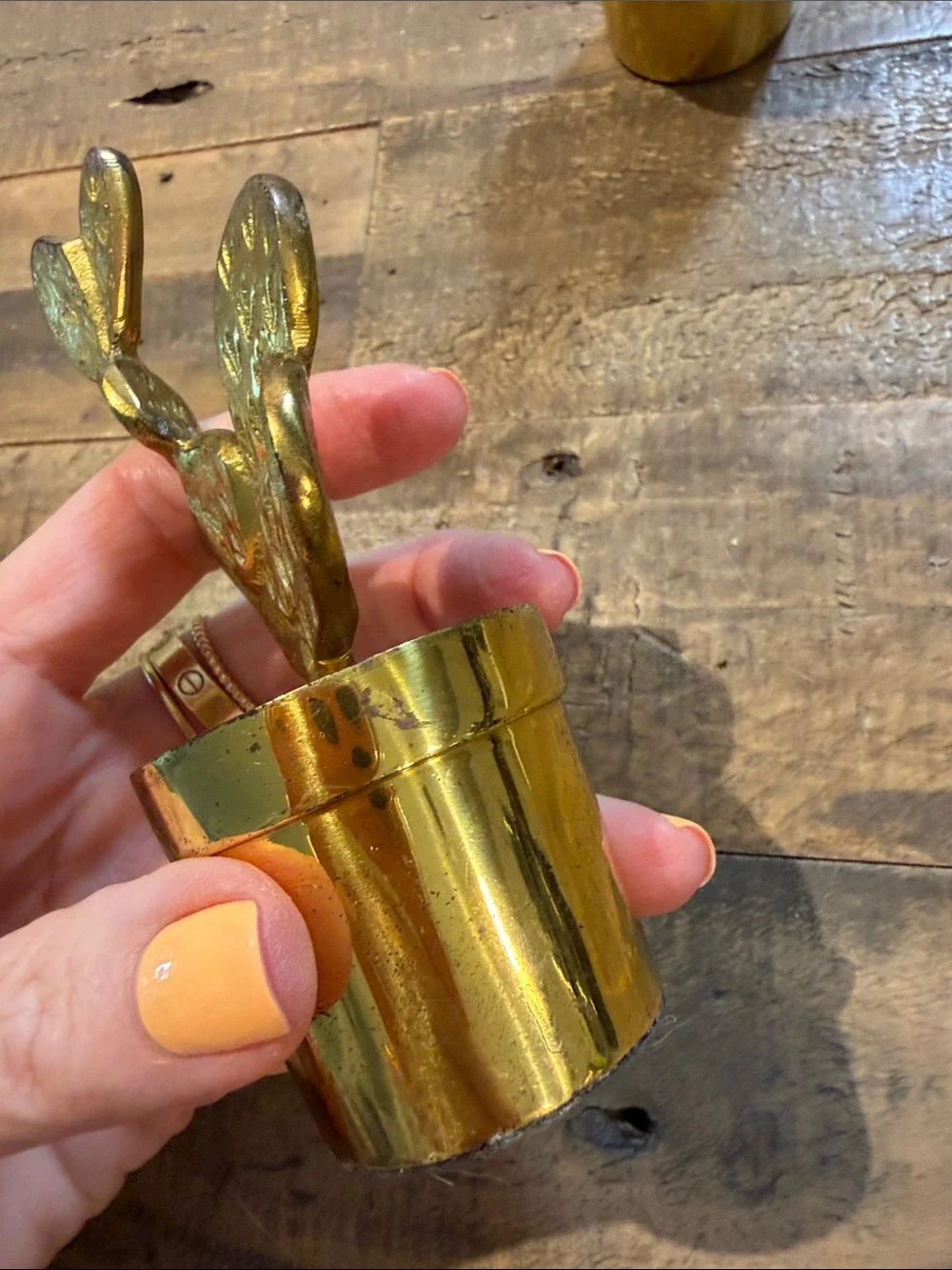 West Elm brass cactus figurine set - retired